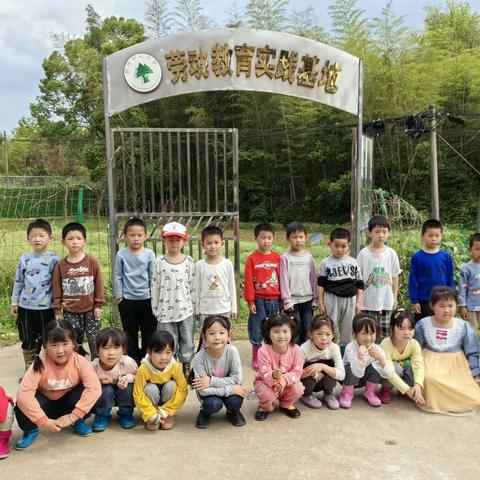 油菜籽粒枝头满,共享农耕之快乐—郭圩乡中心小学附属幼儿园劳动篇之收油菜