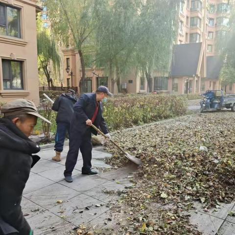 工农街道漫步巴黎社区开展“一叶知秋秋意浓 清扫落叶便出行”活动