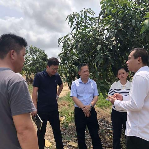 县政府副县长王祺霖到隆广镇调研全域土地综合治理工作