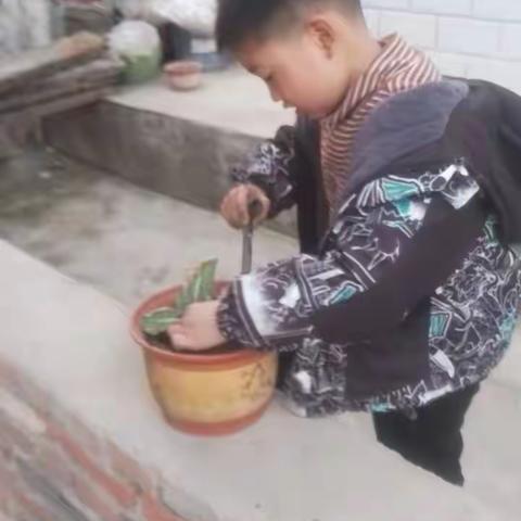 小小园丁在行动———张楼小学一年级植树节活动