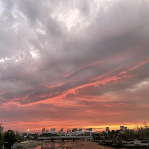 共探数学复习良策，赋能九年级期中冲刺