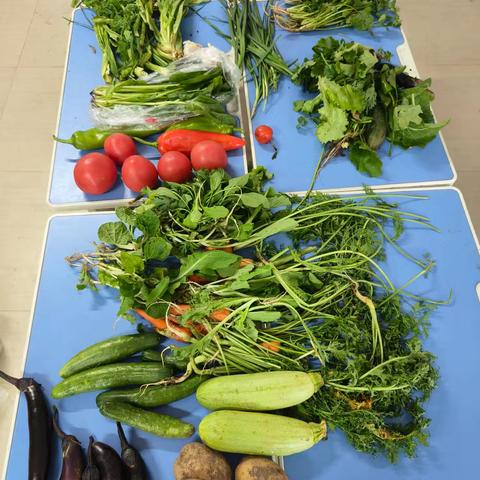 杨林中心校一年级劳动课——择菜学问大，劳动乐趣多