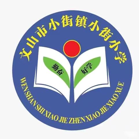 “红领巾心向党，祖国发展我成长”文山市小街镇小街小学欢度“六一”活动