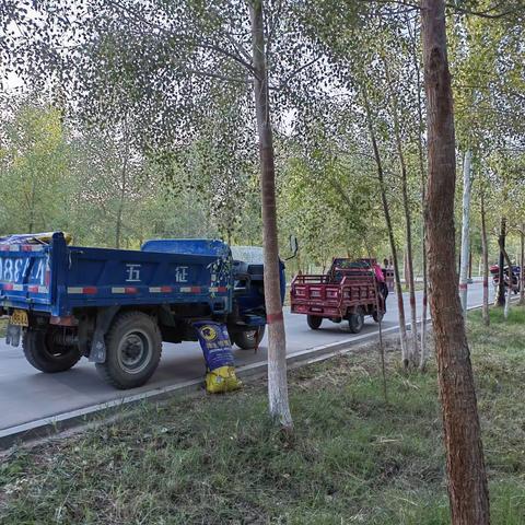 玉泽湖公园：秋季施肥正当时