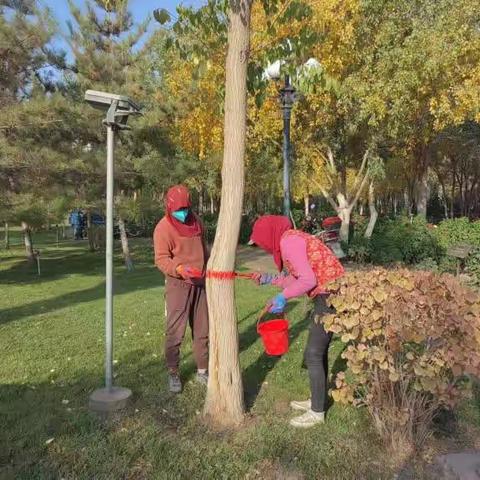 玉泽湖公园：秋季树木涂白工作全面完成