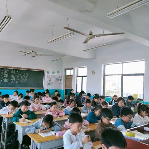 “教”无涯，“研”不尽 ——鸣皋二小语文教研活动