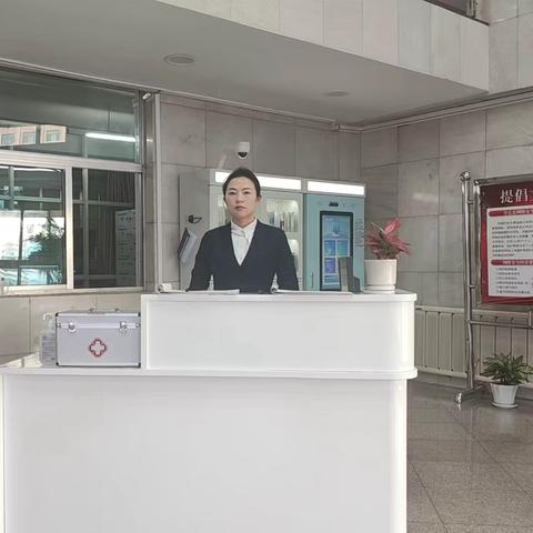 财政厅项目2024年11月份服务工作报告