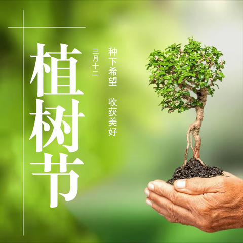 静觅童心 | 植一株绿色，溢一片春光——阜寨幼儿园植树节活动