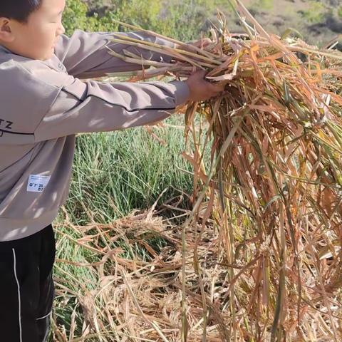 记录劳动瞬间！