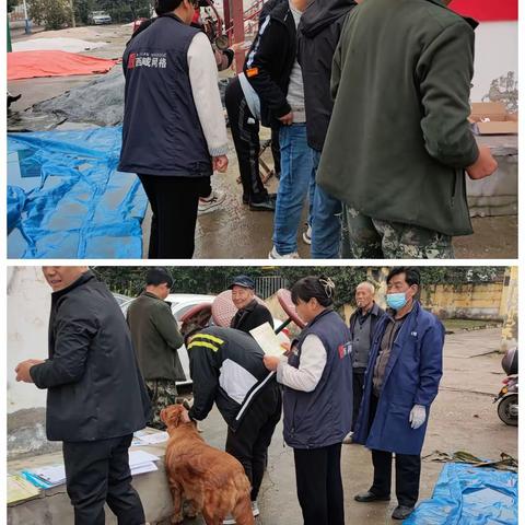 网格员协助开展狂犬疫苗免费接种