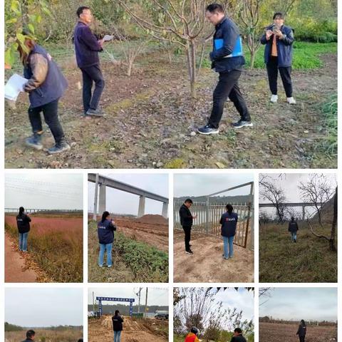 深化网格服务管理  探索基层治理新格局