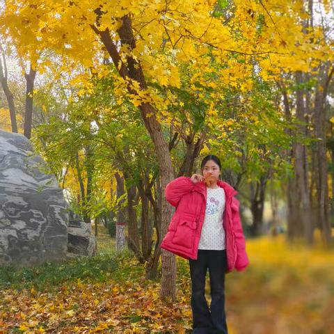 邂逅秋日童话——大子文镇第一高级小学“寻找秋天的美”主题活动