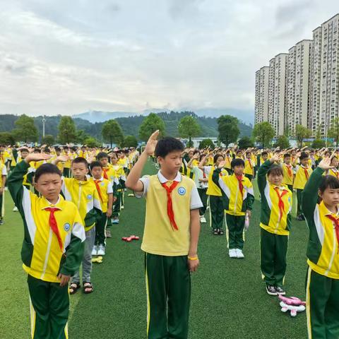 骄阳似火，惟有葵花向日倾——【X1902】