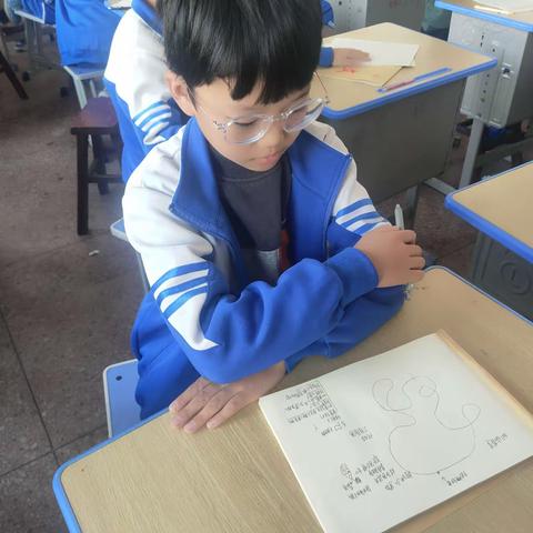 【图形化编程】育才小学电脑编程社团(七)