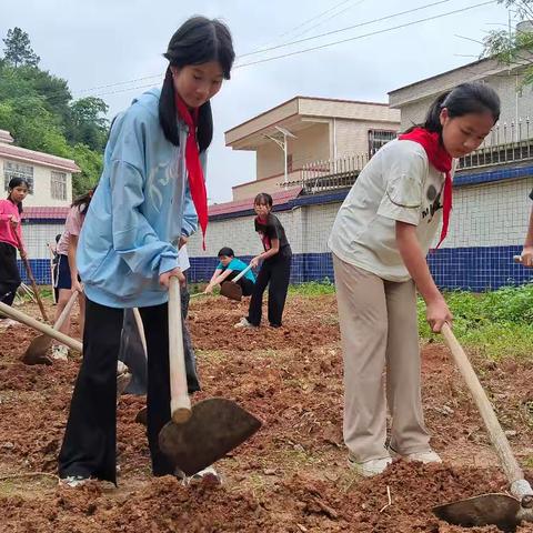 享劳动教育之美     传乡土文化之悠