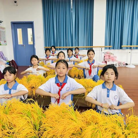 选择了，就去努力💪——博罗县第十一小学2024春季学期舞蹈课（3月27日）