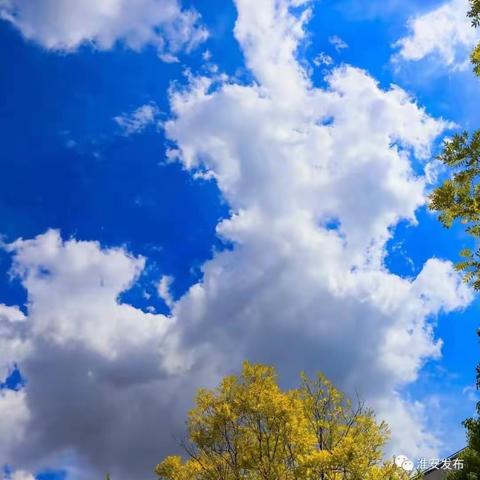 【莒县四小•乐真教育】秋季最美风景线——四叶草🍀中队护导记