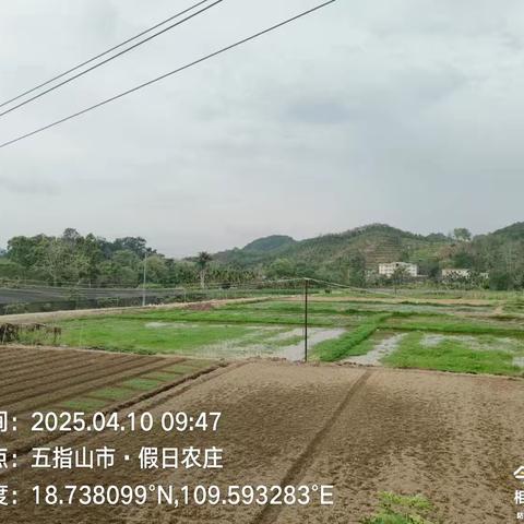 五指山市南圣镇持续开展大气污染防治巡查工作