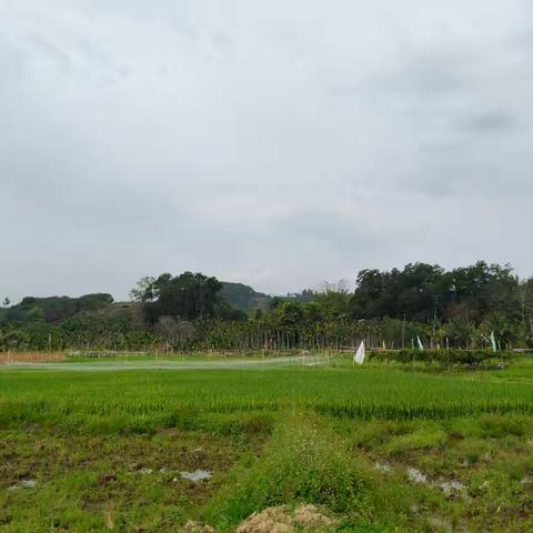 五指山市南圣镇持续开展大气污染防治巡查工作