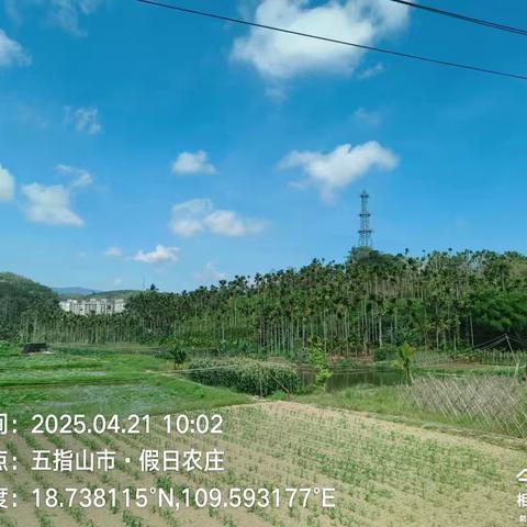五指山市南圣镇持续开展大气污染防治巡查工作