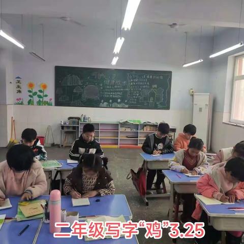 书写规范字，体验文字魅力