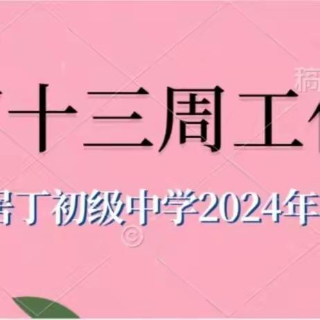 定安县居丁初级中学2023年秋季第十三周工作简报