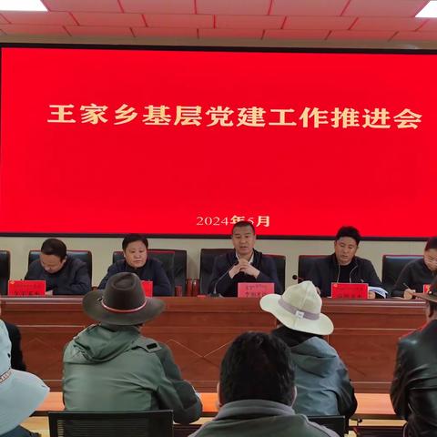 王家乡基层党建工作推进会