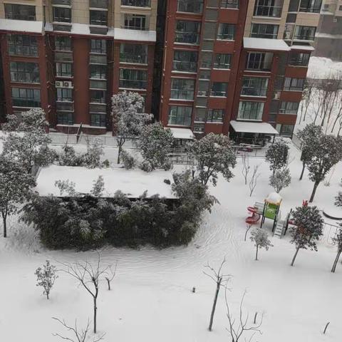 无惧风雪，物业守护