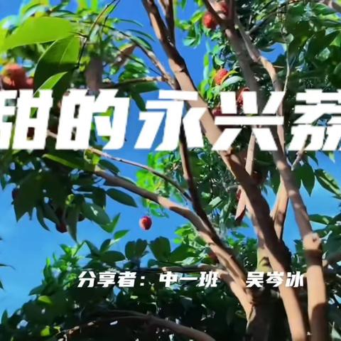中一班故事分享《甜甜的永兴荔枝》 ——吴岑冰