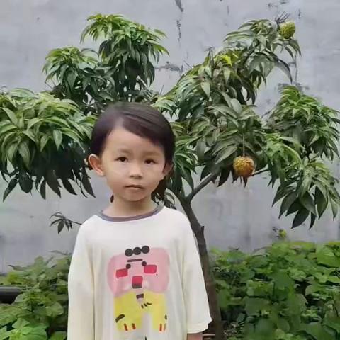 中一班春假荔枝分享：荔枝王的特征 ——王馨玥