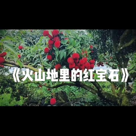 中一班故事分享《火山地里的红宝石》 ——肖晓萱