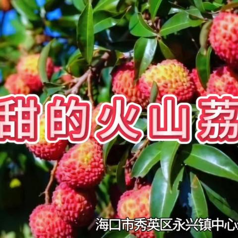 中一班亲子故事分享《甜甜的火山荔枝》 ——王礼贤和妈妈
