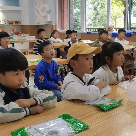 九龙湖小学一年级一班鲨鱼公园STEM主题科学课程《生命的循环》