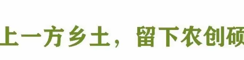 海华生态园 田间学校里的学农实践研学方案