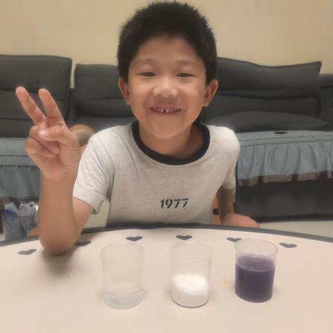 神秘的紫甘蓝