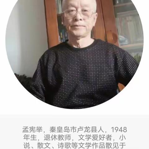 孟宪举短篇小说选