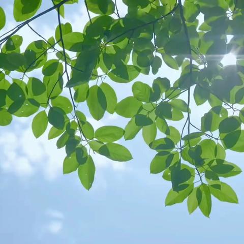 祝所有教师第40个教师节快乐