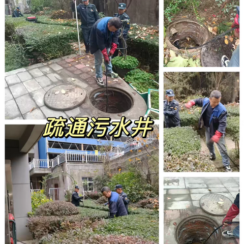 长兴金座12月工作简报