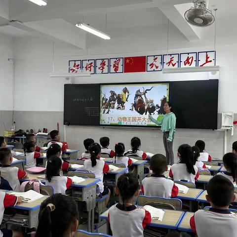 参加动物王国的识字大会——小课题研究课《动物王国开大会》