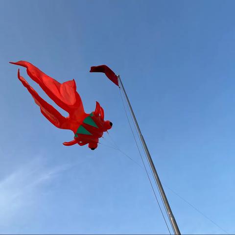 传承风筝文化，领略扁带魅力 ——2023年肇庆鼎湖泰来中学“风筝”、“扁带”、“茶艺”进校园活动