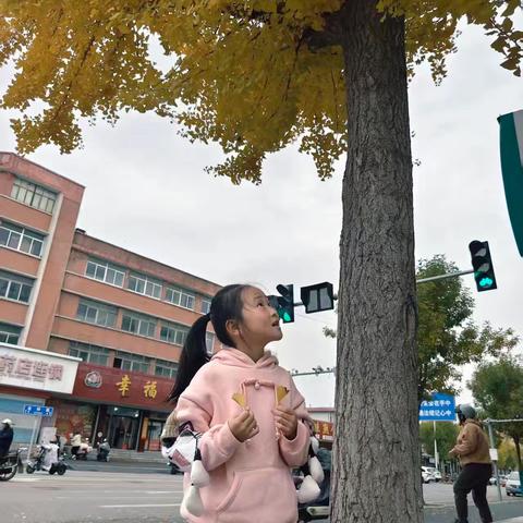 栖霞市实验小学一年级五班赏秋活动记