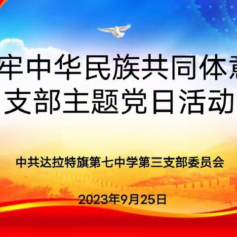 “铸牢中华民族共同体意识”主题党日活动