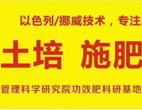 微生物菌剂搭配化肥的五大好处，土大厨功效肥告诉你最理想的施肥方式