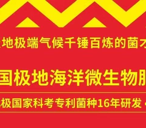 现阶段棉花怎么施锌肥？土大厨功效肥告诉你