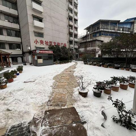 扫雪除冰保出行 网格服务暖人心