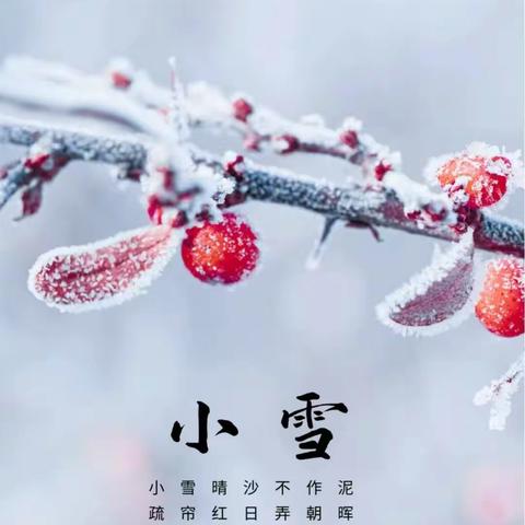 【小雪到 冬始俏】 孙耿街道新庄幼儿园“小雪”节气主题活动