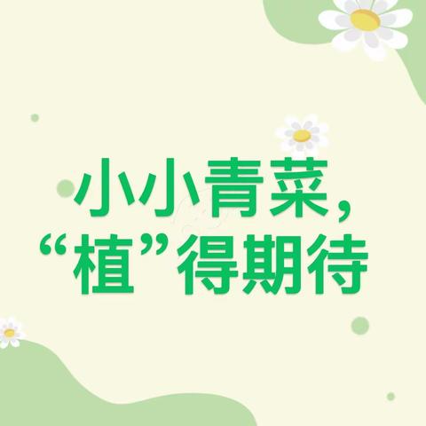 【班本课程】小小青菜，“植”得期待——记望仙乡中心幼儿园小一班实践活动