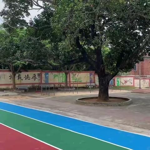 操场焕然一新，校园绽放生机——驸台小学校园升级改造篇