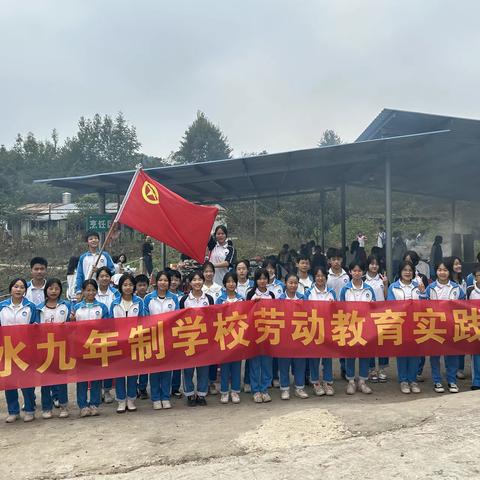 劳动淬炼成长，实践创造幸福——钟水九年制学校劳动教育实践活动