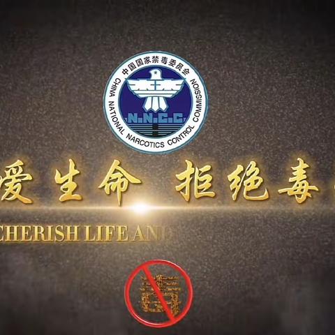 珍爱生命，拒绝毒品———毒品预防教育活动